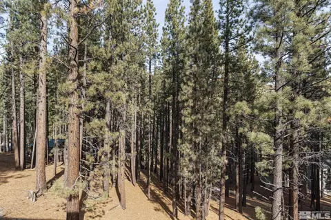 170 Pinon Rd, Markleeville, CA 96120 photo 19