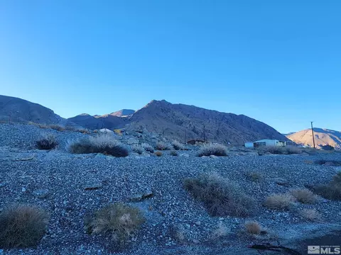 Ahab &gull, Walker Lake, NV 89415