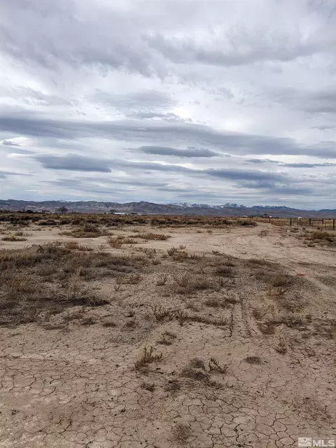 0 Falcon Way, Yerington, NV 89447