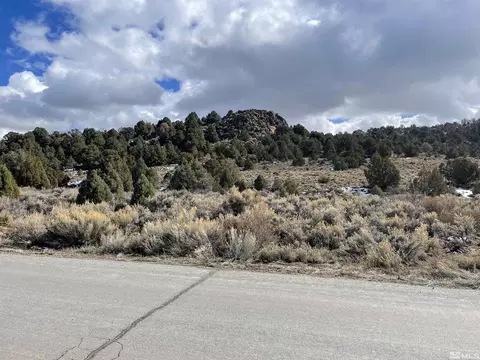 2311 Lousetown Rd, Virginia City, NV 89521
