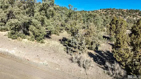 2060 Scorpion Rd, Reno, NV 89521 photo 33