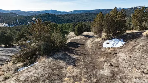 2060 Scorpion Rd, Reno, NV 89521 photo 18
