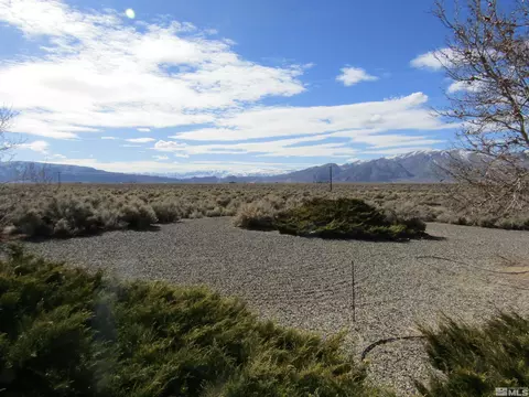 7 White Sage Ct, Smith, NV 89430 photo 32