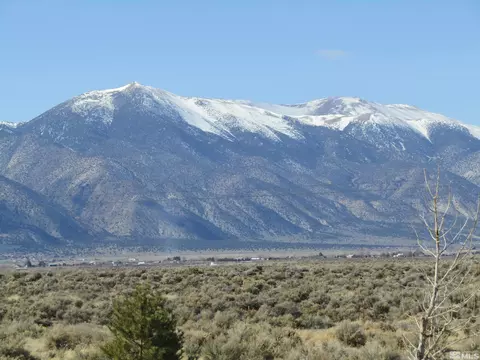 7 White Sage Ct, Smith, NV 89430 photo 30