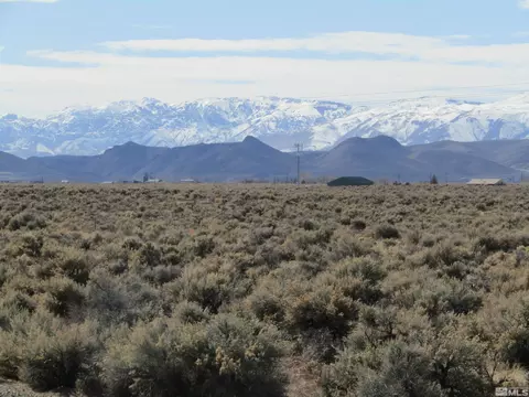 7 White Sage Ct, Smith, NV 89430 photo 29