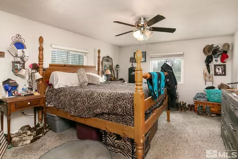 4111 Solias Rd, Fallon, NV 89406 photo 8