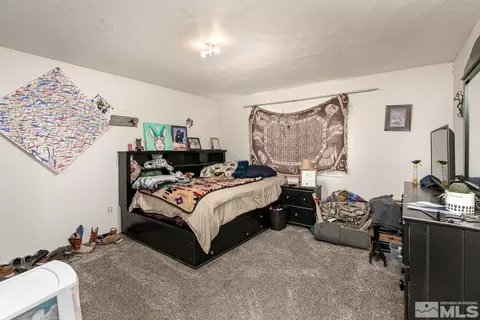 4111 Solias Rd, Fallon, NV 89406 photo 6