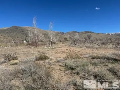 890 Eastside Ln, Coleville, CA 96107 photo 17