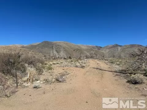 890 Eastside Ln, Coleville, CA 96107 photo 9