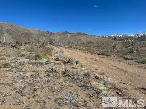 890 Eastside Ln, Coleville, CA 96107 photo 8