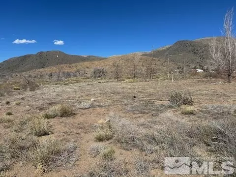 890 Eastside Ln, Coleville, CA 96107 photo 6