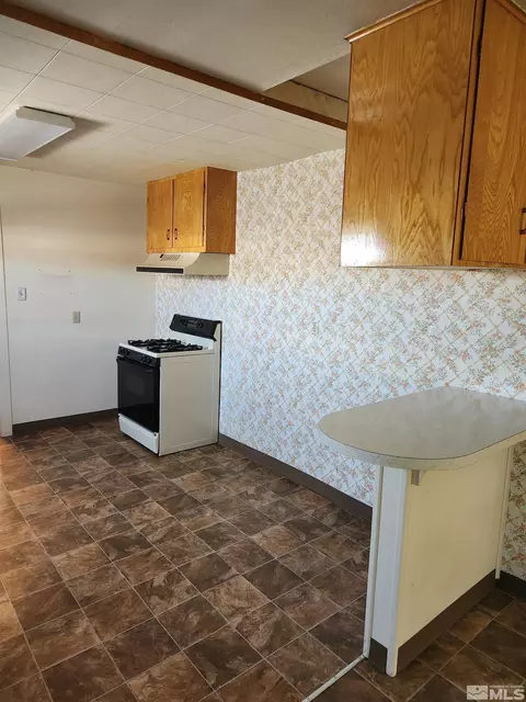 27 E Bridge St, Yerington, NV 89447 photo 16