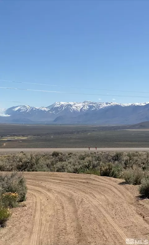 4524 Highway 208, Wellington, NV 89444