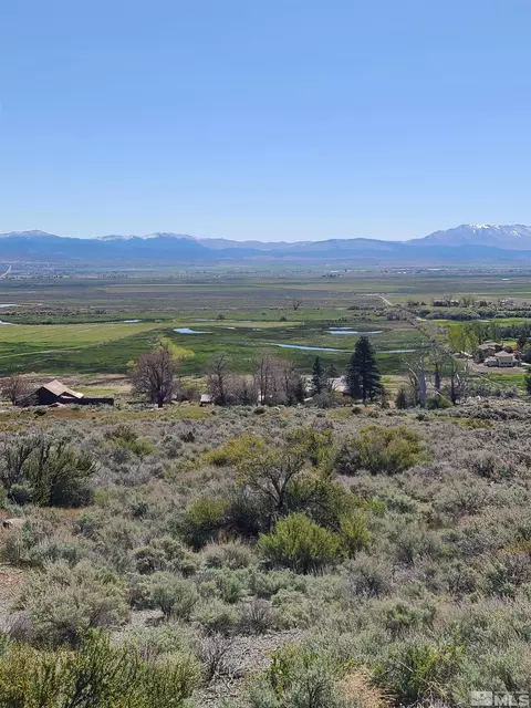 2515 Eagle Ridge Rd, Genoa, NV 89411