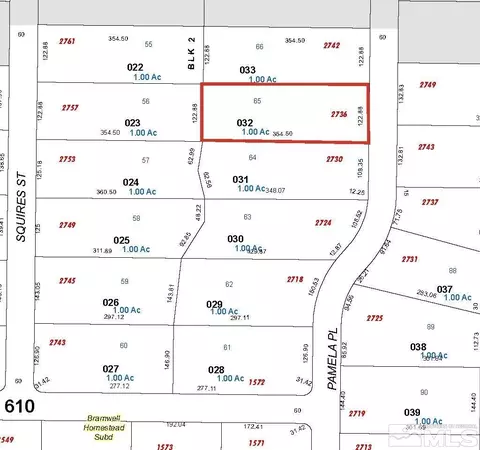 2736 Pamela, Minden, NV 89423