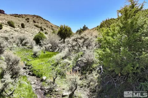 0 Pah Rah Springs Rd, Reno, NV 89510