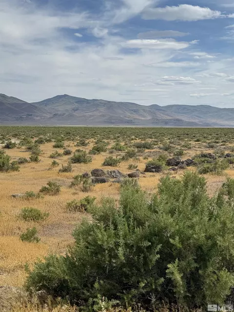 Parcel 07439008, Reno, NV 89510