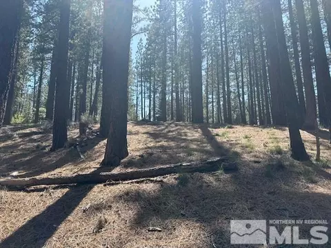 150 Pinon Rd, Markleeville, CA 96120 photo 25