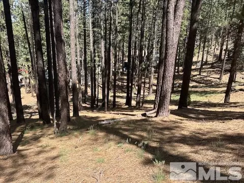 150 Pinon Rd, Markleeville, CA 96120 photo 31