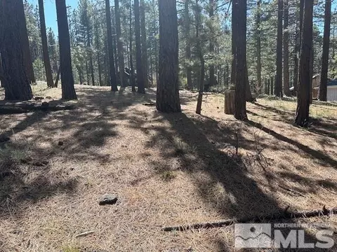 150 Pinon Rd, Markleeville, CA 96120 photo 27