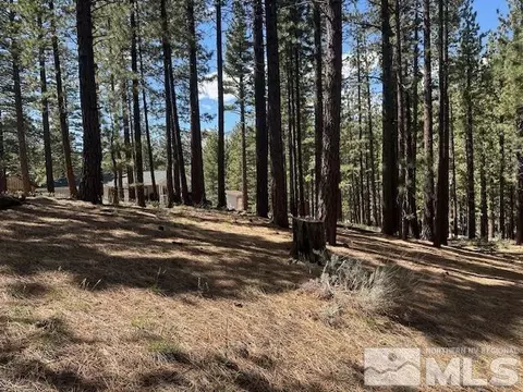 150 Pinon Rd, Markleeville, CA 96120 photo 8
