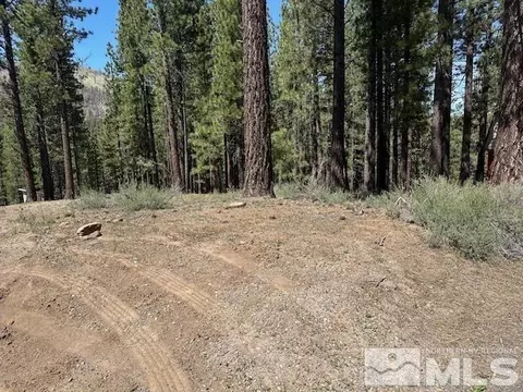 150 Pinon Rd, Markleeville, CA 96120 photo 18