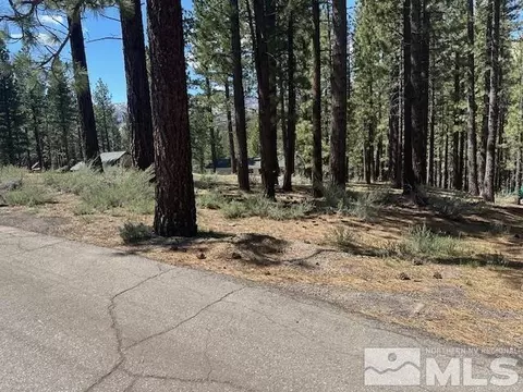 150 Pinon Rd, Markleeville, CA 96120 photo 20