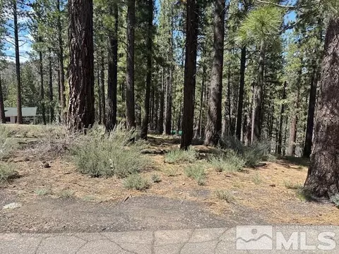 150 Pinon Rd, Markleeville, CA 96120 photo 13