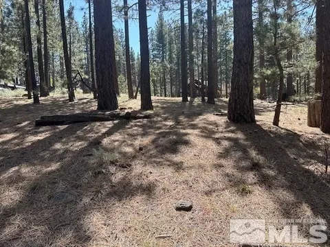 150 Pinon Rd, Markleeville, CA 96120 photo 3