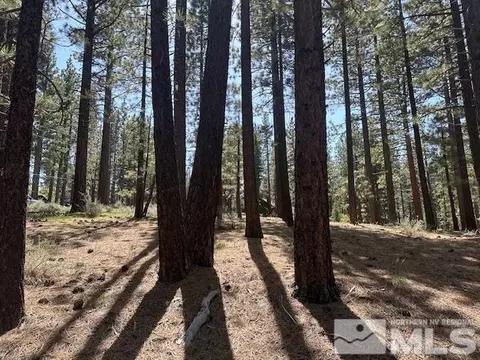 150 Pinon Rd, Markleeville, CA 96120 photo 19
