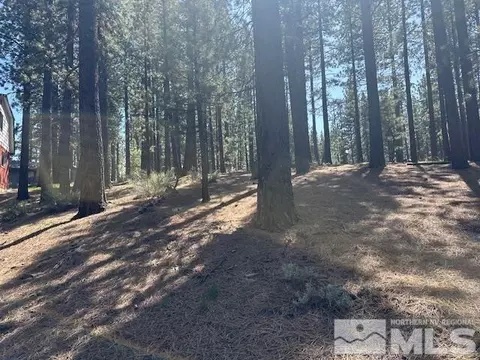 150 Pinon Rd, Markleeville, CA 96120 photo 15