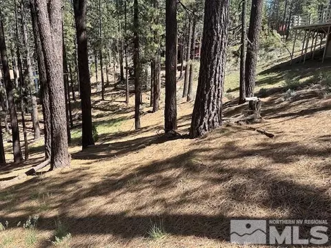150 Pinon Rd, Markleeville, CA 96120 photo 30