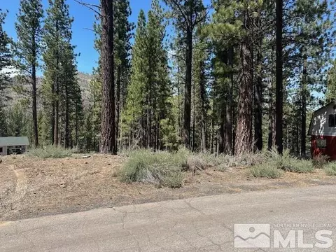 150 Pinon Rd, Markleeville, CA 96120 photo 10