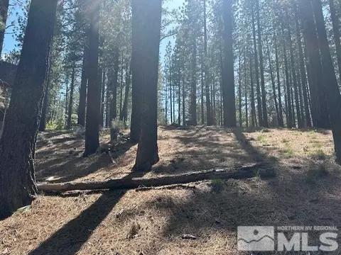 150 Pinon Rd, Markleeville, CA 96120 photo 12