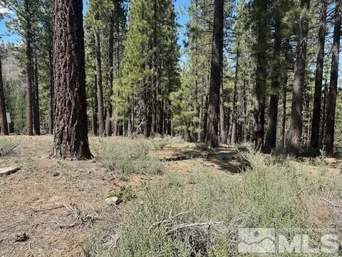 150 Pinon Rd, Markleeville, CA 96120 photo 9
