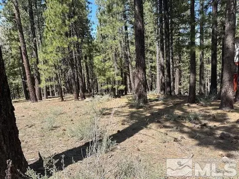 150 Pinon Rd, Markleeville, CA 96120 photo 2