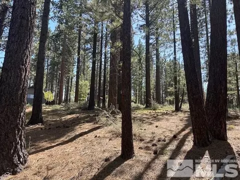 150 Pinon Rd, Markleeville, CA 96120 photo 14