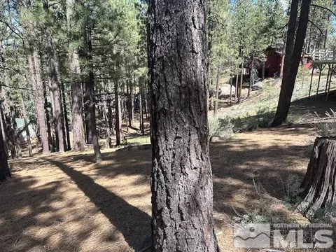 150 Pinon Rd, Markleeville, CA 96120 photo 23