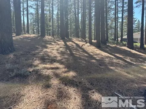150 Pinon Rd, Markleeville, CA 96120 photo 22