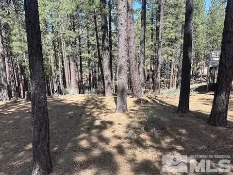 150 Pinon Rd, Markleeville, CA 96120 photo 34