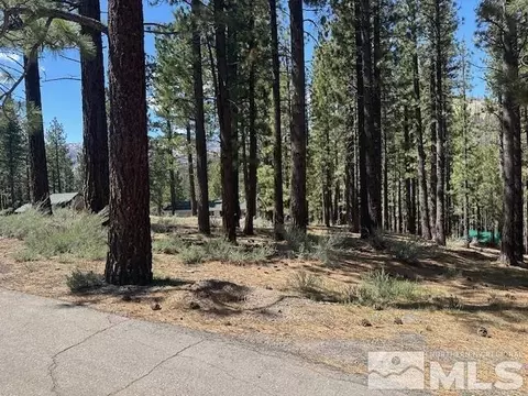 150 Pinon Rd, Markleeville, CA 96120 photo 36