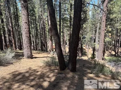 150 Pinon Rd, Markleeville, CA 96120 photo 11