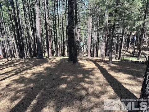 150 Pinon Rd, Markleeville, CA 96120 photo 5