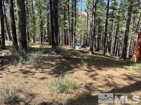 150 Pinon Rd, Markleeville, CA 96120 photo 4