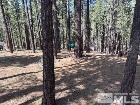 150 Pinon Rd, Markleeville, CA 96120 photo 33