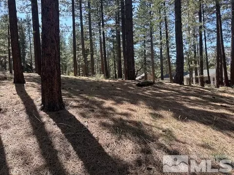 150 Pinon Rd, Markleeville, CA 96120 photo 7