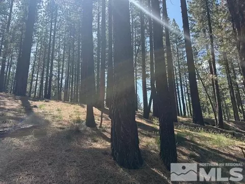 150 Pinon Rd, Markleeville, CA 96120 photo 29