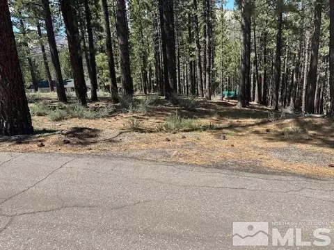150 Pinon Rd, Markleeville, CA 96120 photo 16