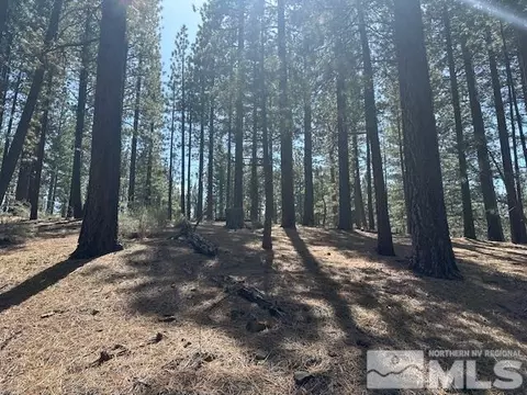 150 Pinon Rd, Markleeville, CA 96120 photo 24