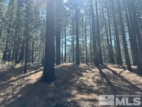 150 Pinon Rd, Markleeville, CA 96120 photo 26